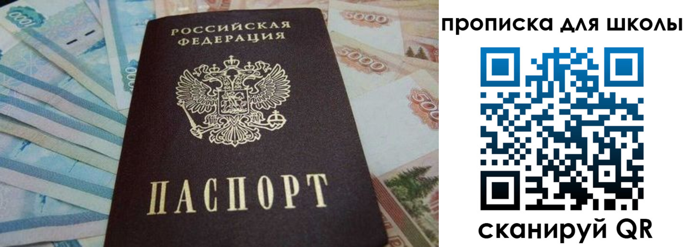 прописка гарантия в Калуге